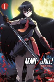 Akame ga Kill!: Season 1